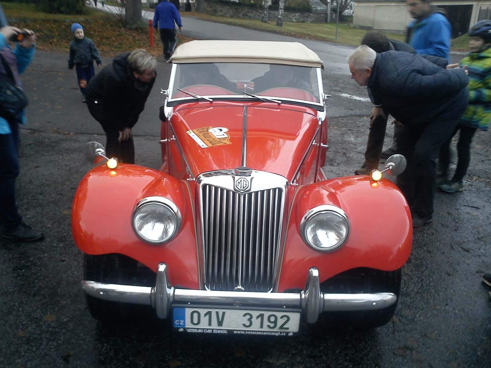 1 auto.jpg